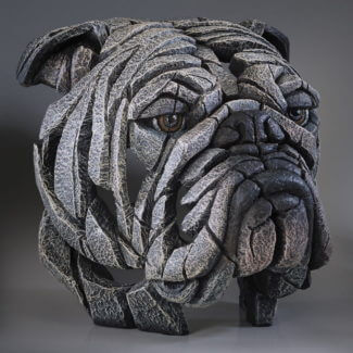 Bulldog Bust - White