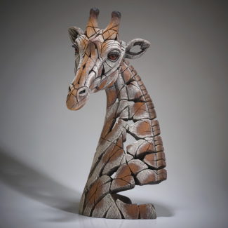 Giraffe Bust