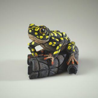 Edge Sculpture African Tree Frog Yellow Spot